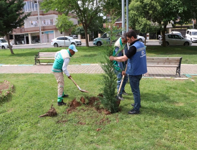 HALİLİYE BELEDİYESİ PEYZAJ ÇALIŞMASI İLE PARKLARI GÜZELLEŞTİRİYOR