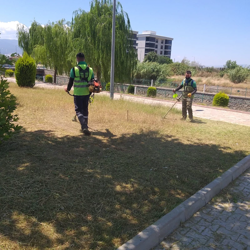 Nazilli Belediyesi