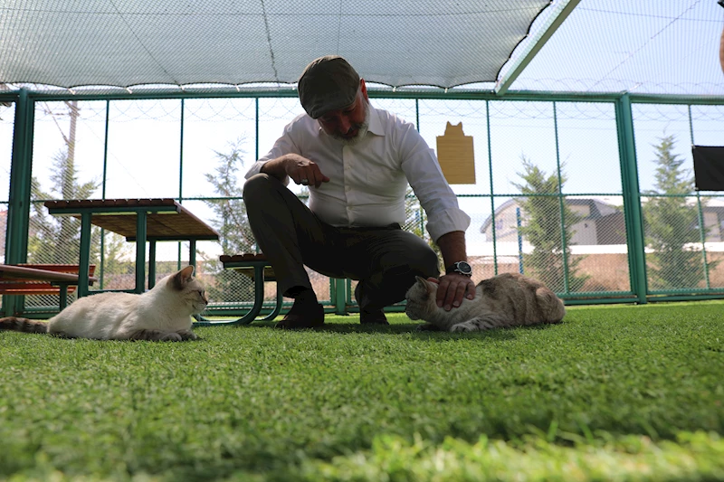 KAYSERİ’DE İLK OLAN KÜÇÜK DOSTLAR KEDİ KASABASI, BİR YILDA REKOR ZİYARET