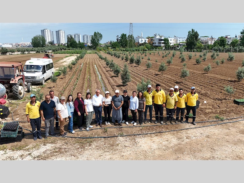 TARSUS BELEDİYESİ VE TARSUS SLOW FOOD DERNEĞİ ARASINDA TARIMSAL ÜRETİM İÇİN İŞ BİRLİĞİ