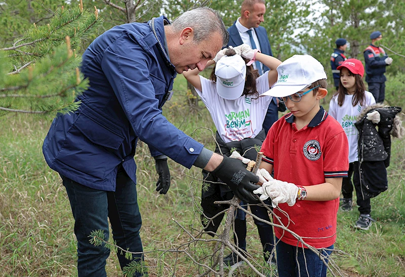 ORMANLAR GELECEK İÇİN TEMİZLENDİ…