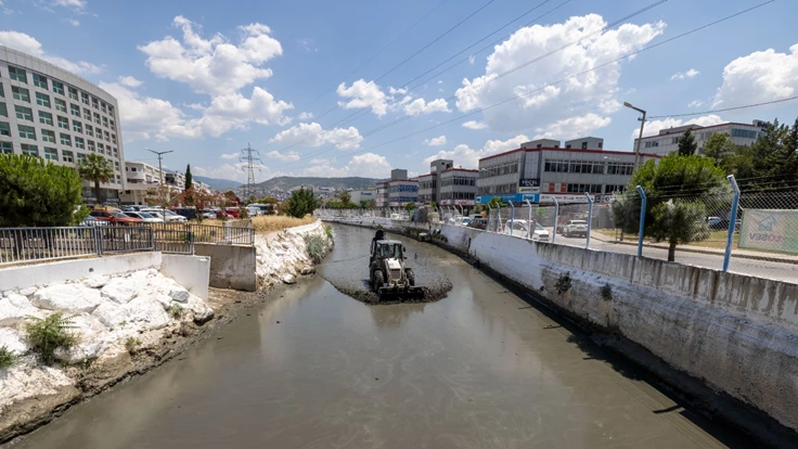 Kokuya karşı mücadelenin etkileri bu yaz görülecek