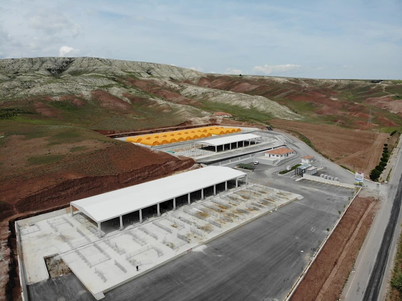 Modern Hayvan Pazarında Padok ve Stant Tahsisi Başlıyor