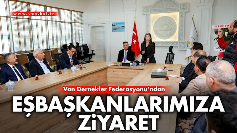 VAN DERNEKLER FEDERASYONU