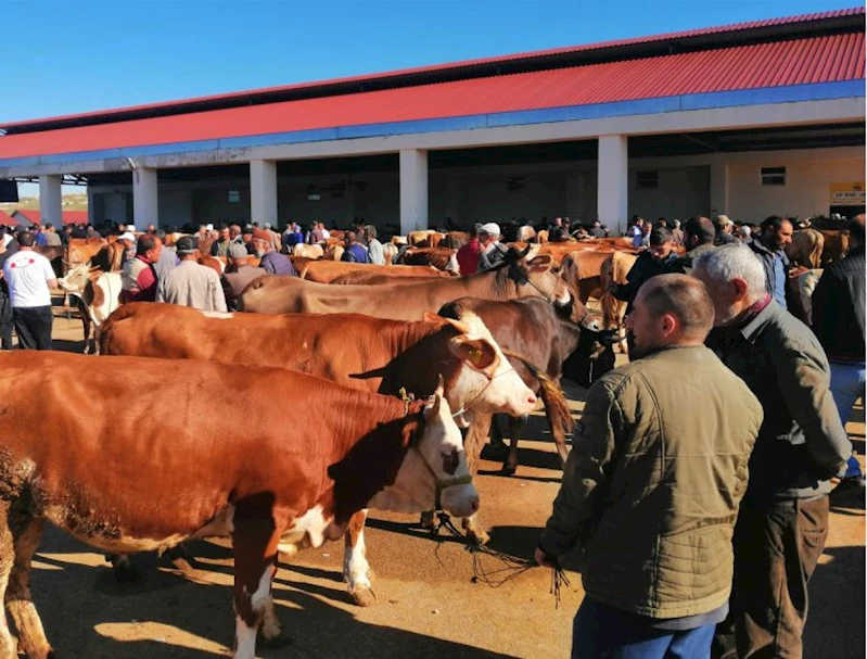 HAYVAN PAZARINDA KURBAN HAREKETLİLİĞİ