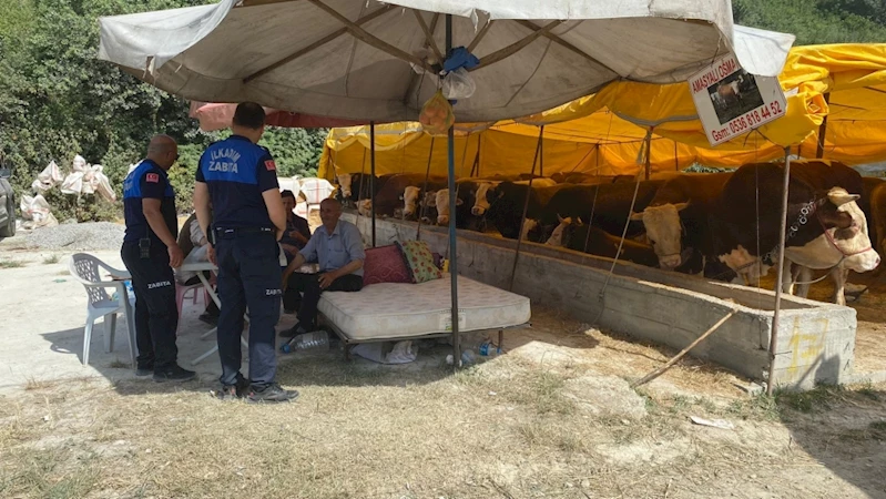 İlkadım Zabıtası kurban denetimlerini arttırdı