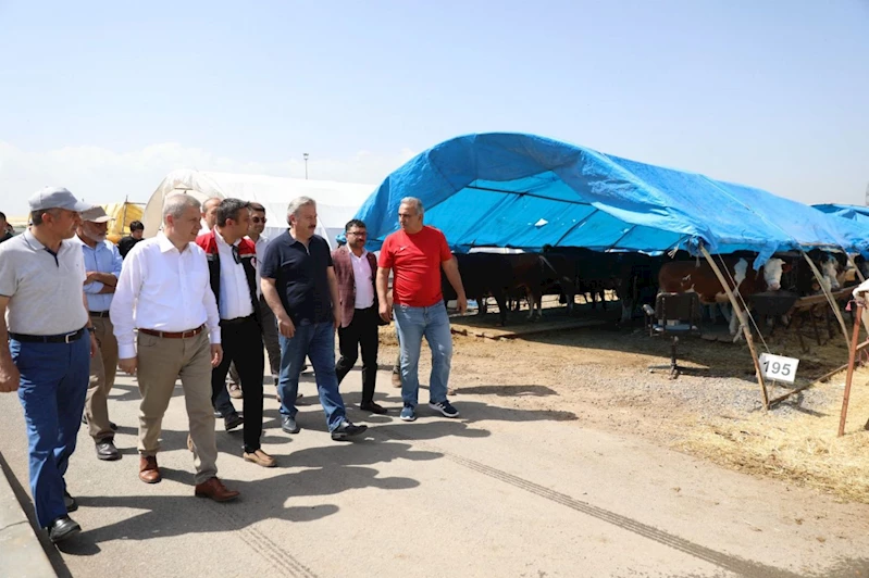 BAŞKAN PALANCIOĞLU KURBAN PAZARINI ZİYARET EDEREK HAZIRLIKLARI İNCELEDİ