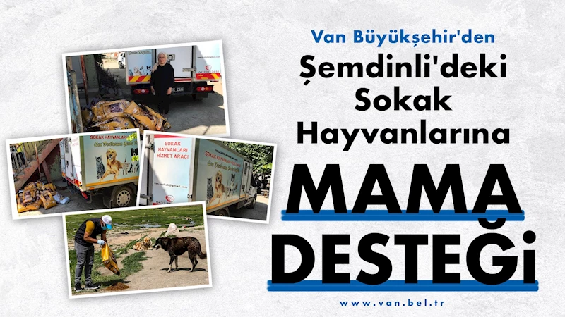 Van Büyükşehir