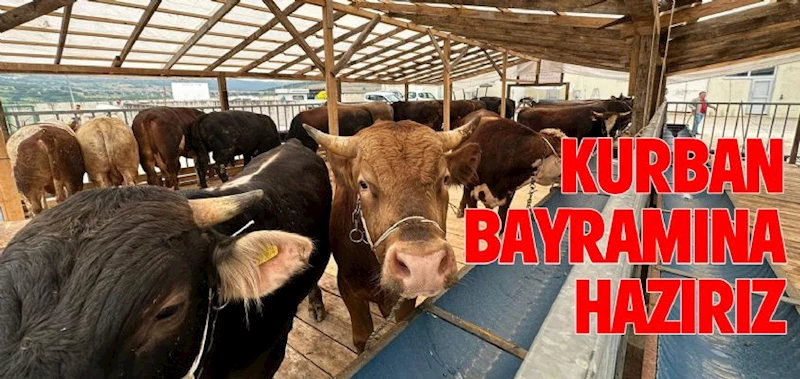 BELEDİYE KURBAN BAYRAMINA HAZIR