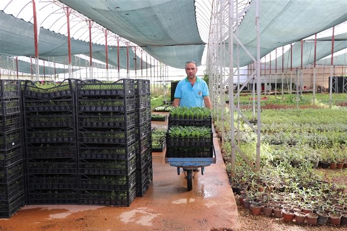 ALANYA BELEDİYESİ MEZARLIKLARDA 68 BİN ADET ÇİÇEĞİ ÜCRETSİZ DAĞITACAK