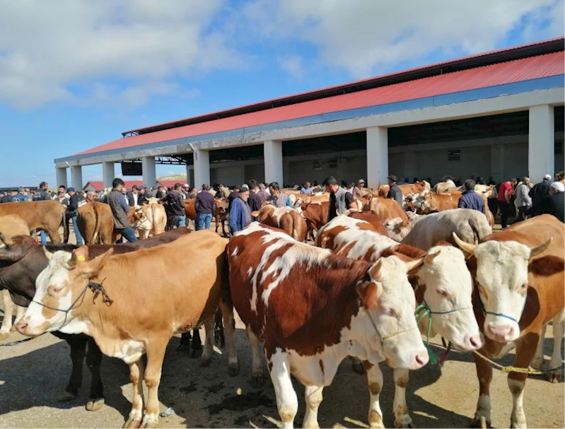 BAYBURT’TA KURBAN BAYRAMI HEYECANI