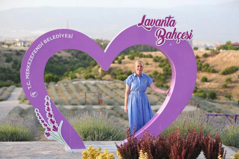 MERKEZEFENDİ LAVANTA BAHÇESİ İLÇENİN ÇEHRESİNİ DEĞİŞTİRİYOR
