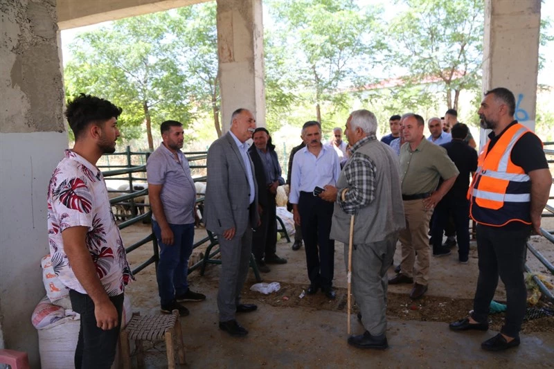 EŞ BAŞKAN MEHMET KAYSİ, HAYVAN PAZARI VE MEZBAHANEYİ ZİYARET ETTİ