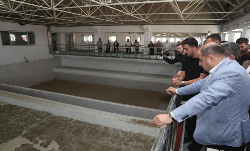 Başkan Gülpınar’dan Siverek Halkına Bayram Müjdesi