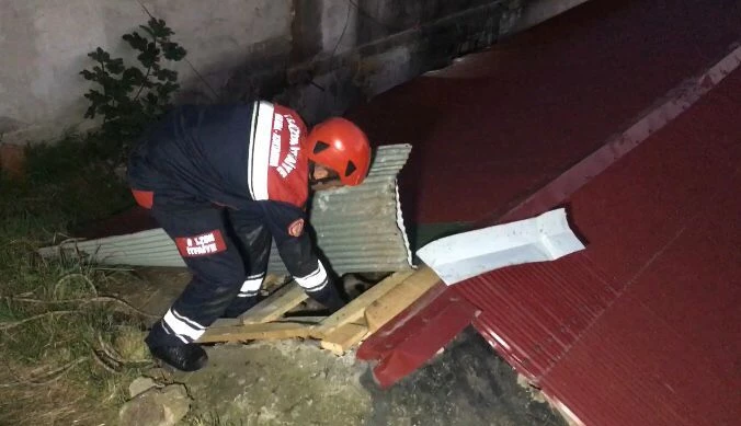 YAVRU KEDİ DÜŞTÜĞÜ YERDEN KURTARILDI