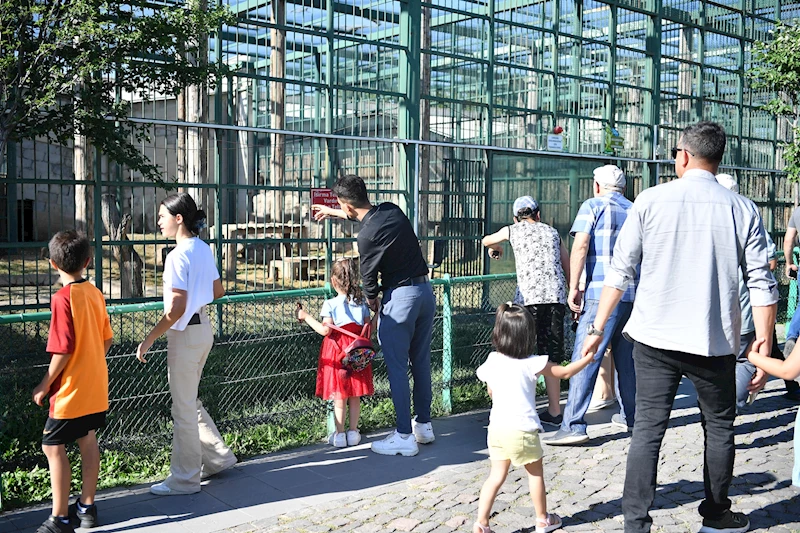 Büyükşehir Hayvanat Bahçesi