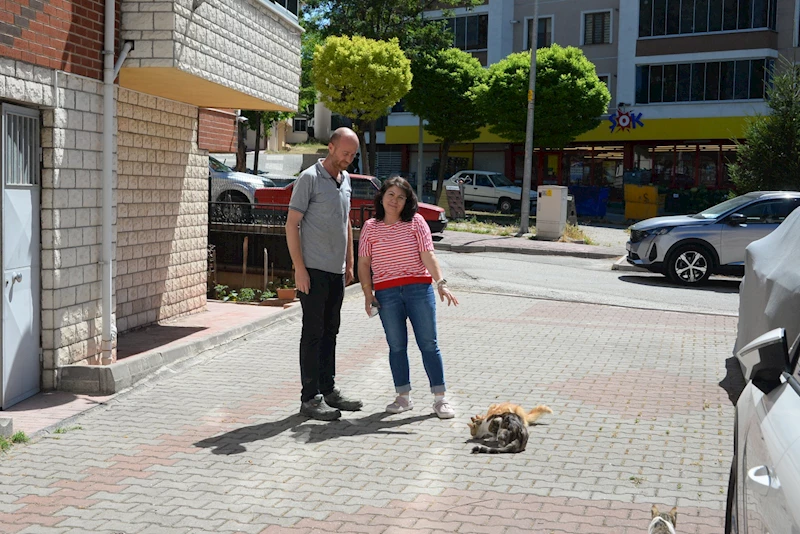 - HASTA KEDİLERİ TEDAVİ EDEN BOZÜYÜK BELEDİYESİ’NE HAYVANSEVERDEN TEŞEKKÜR