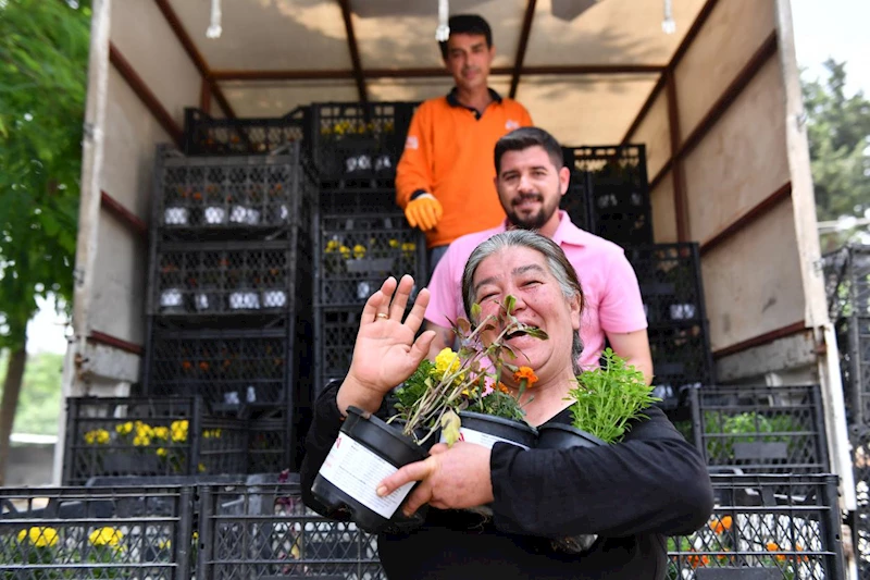 Büyükşehir Sinekle Mücadelede Tıbbi ve Aromatik Bitkileri de Kullanıyor