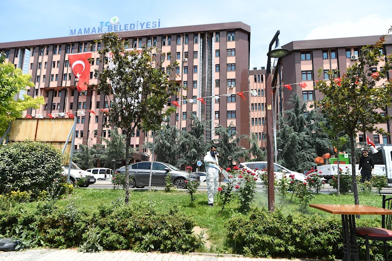 Mamak Belediyesi İlaçlama Çalışmaları Hızlandı