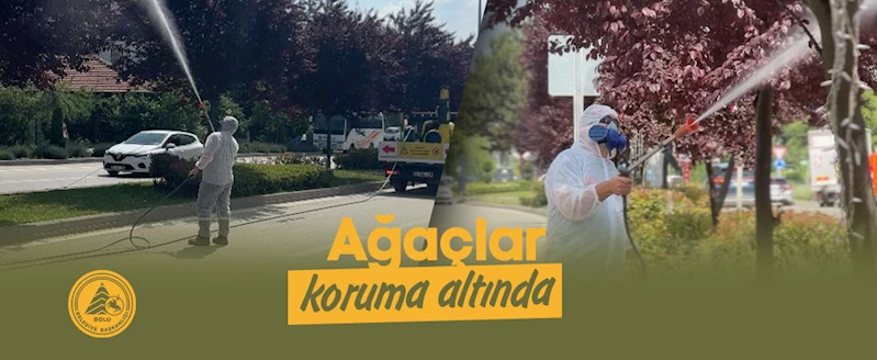 Ağaçlar koruma altında