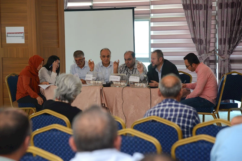 60 ADET HOBİ BAHÇESİ İÇİN KURA ÇEKİMİ NOTER HUZURUNDA YAPILDI