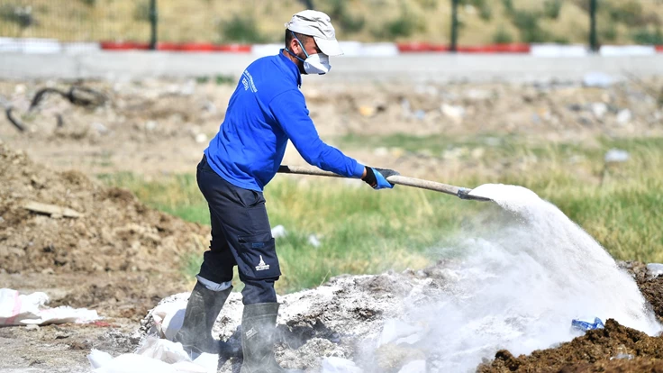 Sinek ve haşerelere karşı aralıksız mücadele