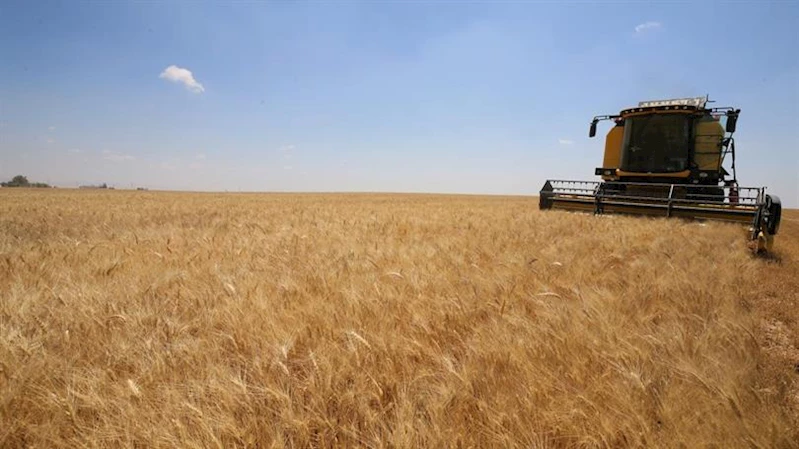 TOPRAK MAHSULLERİ OFİSİ 2024 HUBUBAT ALIM FİYATLARI BELİRLENDİ