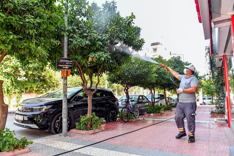 Turunçgillere Zarar Veren Akdeniz Meyve Sineği İle Mücadele Sürüyor
