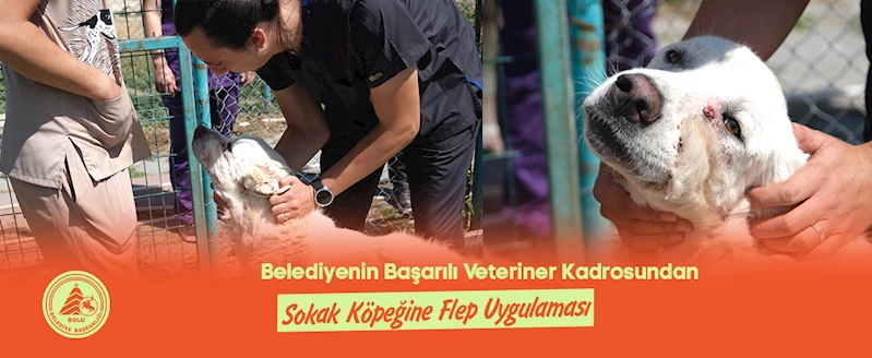 BELEDİYENİN BAŞARILI VETERİNER KADROSUNDAN SOKAK KÖPEĞİNE FLEP UYGULAMASI