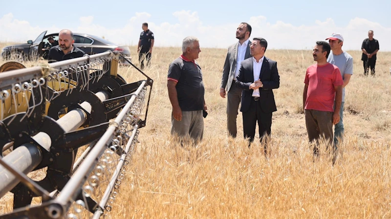 Belediye Tarım Arazilerinde Hasat Zamanı