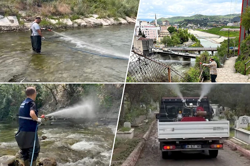 Sinek ve Larvalarla Mücadelemiz Devam Ediyor