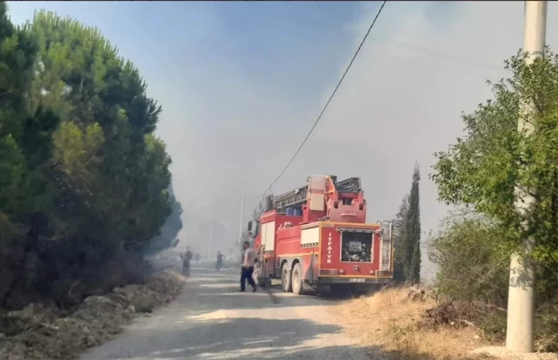 Manisa Büyükşehir İtfaiyesi Soma’da Orman Yangınına Müdahale Ediyor
