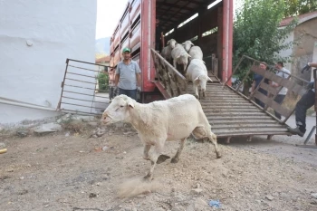 BÜYÜKŞEHİR DESTEKLİYOR ÜRETİCİNİN YÜZÜ GÜLÜYOR