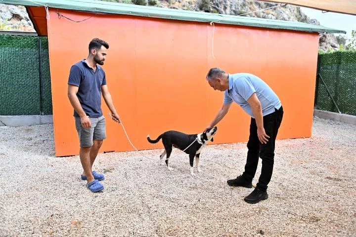 Başkan Uysal, ‘Çözümü ötanazi değildir’