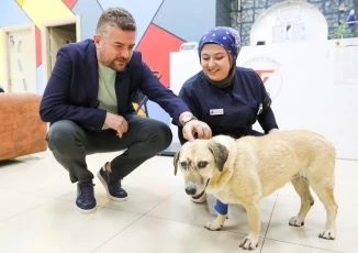Saldırıya uğrayan can dostuna Buca Belediye Başkanı Duman