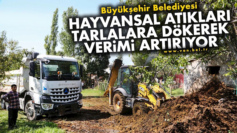 Büyükşehir Belediyesi Hayvansal Atıkları Tarlalara Dökerek Verimi Artırıyor