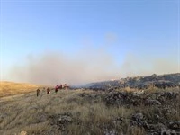 Nusaybin-Midyat Arasında Çıkan Orman Yangını Söndürüldü
