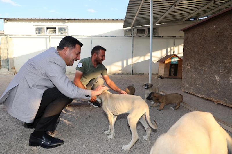Başkan Arı’dan Nevşehir’e Yeni Hayvan Kasabası Müjdesi