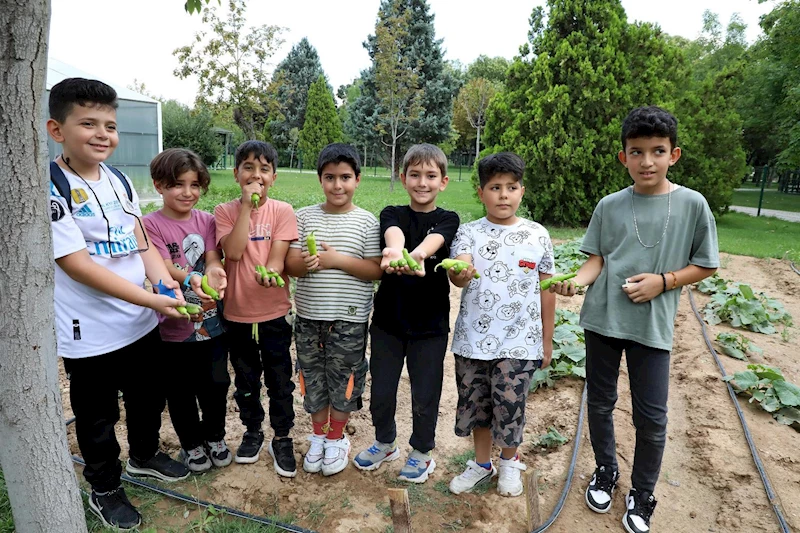 KARATAY TABİAT MEKTEBİ YAZ DÖNEMİ EĞİTİMLERİ SÜRÜYOR