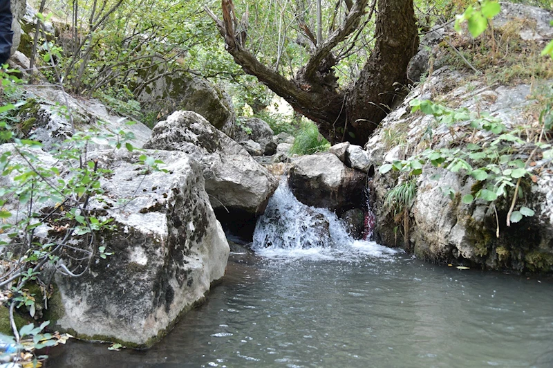 Saklı Cennet Kıbrıs Kanyonu