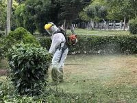 KÂĞITHANE BELEDİYESİ YEŞİL ALANLARA GÖZÜ GİBİ BAKIYOR