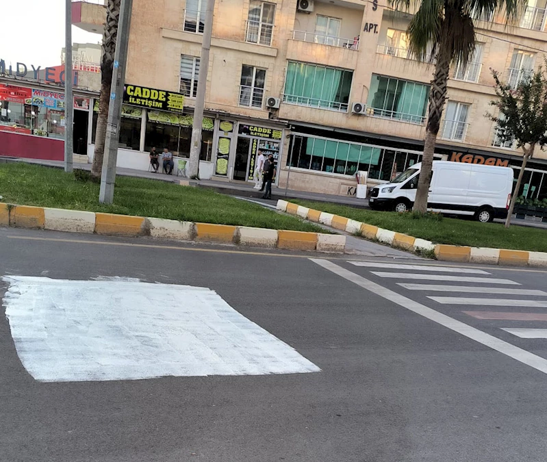 Kürtçe Trafik Uyarı Yazı ve Levhaların Silinmesi İle İlgili Basın Açıklaması