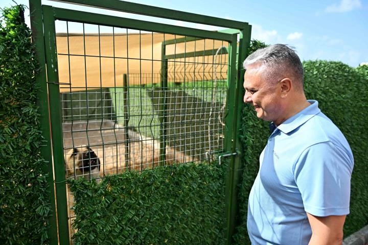 Başkan Uysal: 