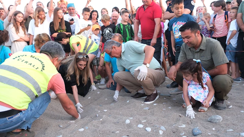 Kemer’de son 30 yılın caretta caretta rekoru bekleniyor