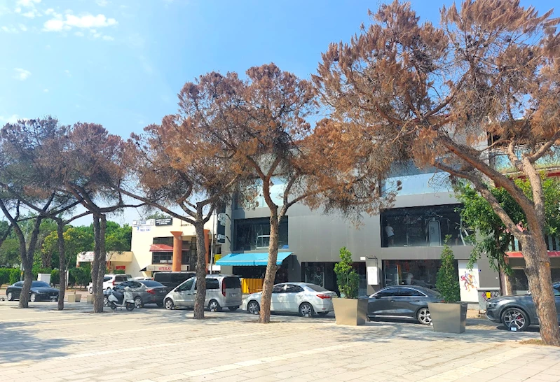 Cumhuriyet Meydanı