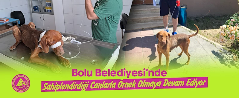 BOLU BELEDİYESİ SAHİPLENDİRDİĞİ CANLARLA ÖRNEK OLMAYA DEVAM EDİYOR