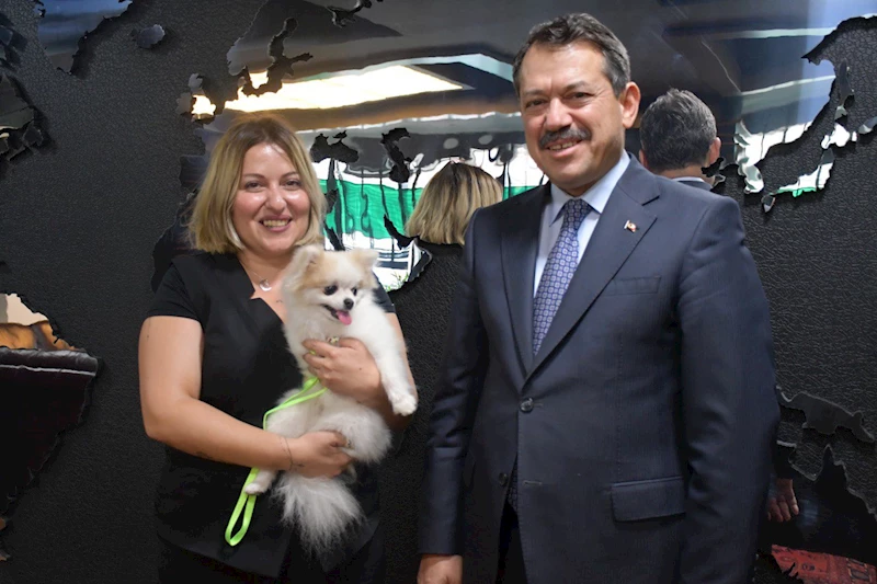 ŞİDDET MAĞDURU PAMUK YENİ YUVASINA KAVUŞTU