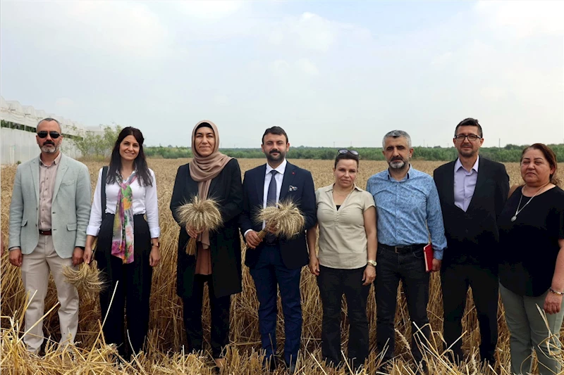 AKDENİZ BELEDİYESİ’NİN ÜRETİP HASAT ETTİĞİ EKMEKLİK BUĞDAYI UN OLDU SOFRALARA ULAŞTI