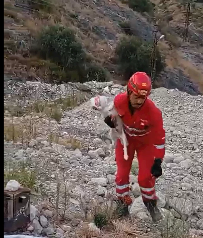 HBB’DEN YAVRU KÖPEĞE ANINDA MÜDAHALE