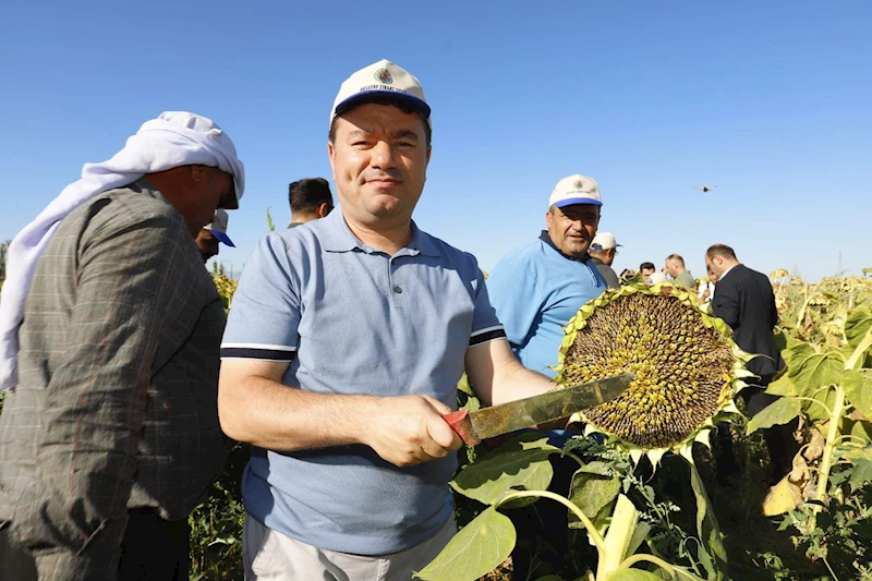 TÜRKİYE’NİN AY ÇEKİRDEĞİ AKSARAY’DAN BAŞKAN DİNÇER VE VALİ KUMBUZOĞLU YILIN İLK HASADINI BİRLİKTE YAPTI